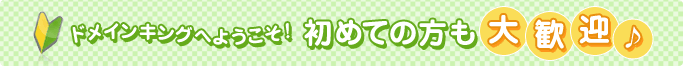 ドメインキングにようこそ！初めての方も大歓迎♪