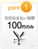 point1　ドメイン料が不要！
