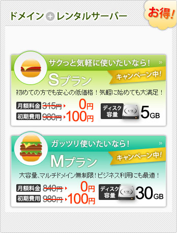 ドメイン+レンタルサーバー