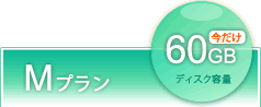 Mプラン　60GB